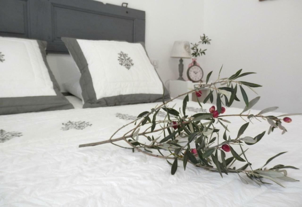 La Villa Aux Oliviers Flayosc Экстерьер фото